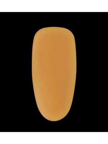 12NG-NIGHT-500X500-500x600