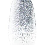 20_silver_ombre.jpg