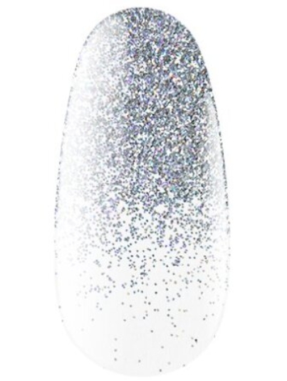 20_silver_ombre.jpg