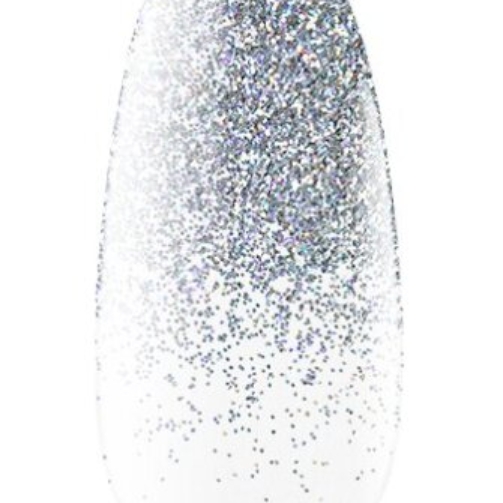 20_silver_ombre.jpg