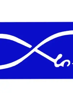 KODI STENCIL FOR HENNA S14