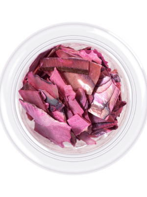 KODI SHELLS FOR NAILS "SHELLS STYLE",NO 03 3g.