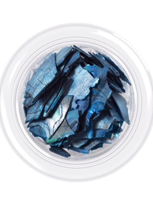 KODI SHELLS FOR NAILS "SHELLS STYLE",NO 05 3g.