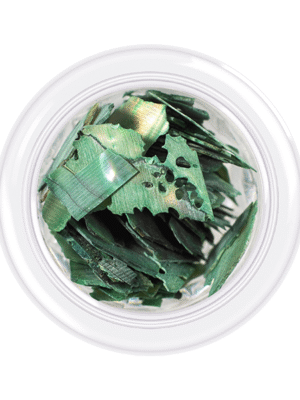 KODI SHELLS FOR NAILS "SHELLS STYLE",NO 08 3g.
