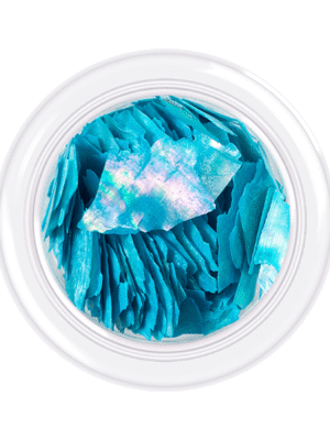 KODI SHELLS FOR NAILS "SHELLS STYLE",NO 10 3g.