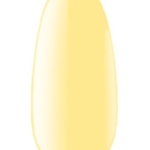 Untitled design - 2025-09-03T124904.911