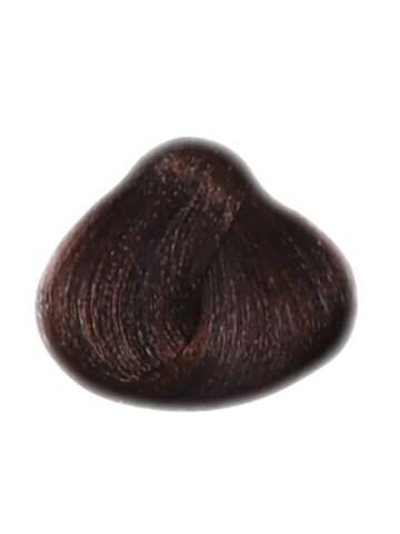 Untitled design (62)