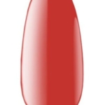 Untitled design - 2025-09-09T120333.427