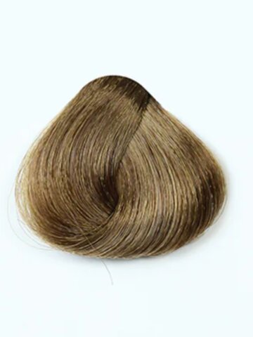 Untitled design (26)