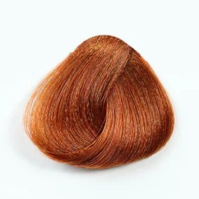 Untitled design (35)