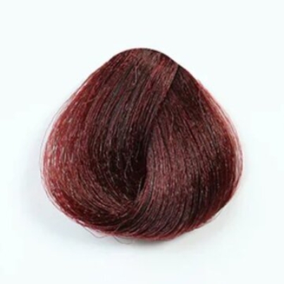 Untitled design (37)