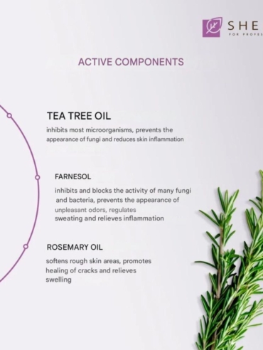 WhatsApp Image 2026-01-27 at 1.18.01 PM (1)