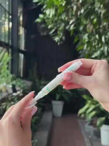 a381bf9366ab46a188fcfde7c8e7611d.thumbnail.0000000000